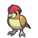 Pidgeotto