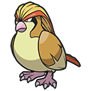 Pidgeot