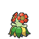 Bellossom