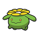 Skiploom