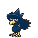 Murkrow