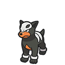 Houndour