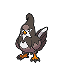 Staravia