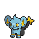 Shinx