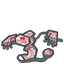 next species