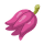 Kasib Berry 