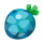 Yache Berry 