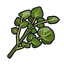 Bitter Herba Mystica