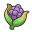 Cornn Berry