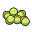 Grassy Seed