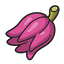 Kasib Berry