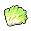 Lettuce