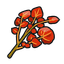 Spicy Herba Mystica