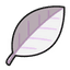 White Herb