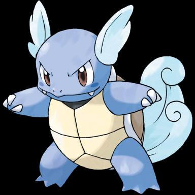 Wartortle artwork