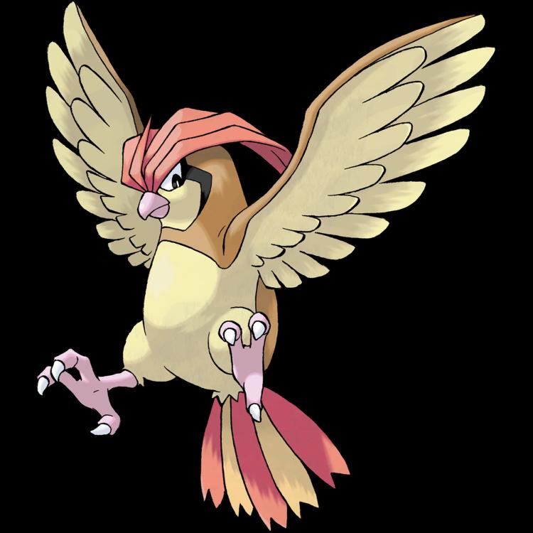 Pidgeotto(pidgeotto) official artwork