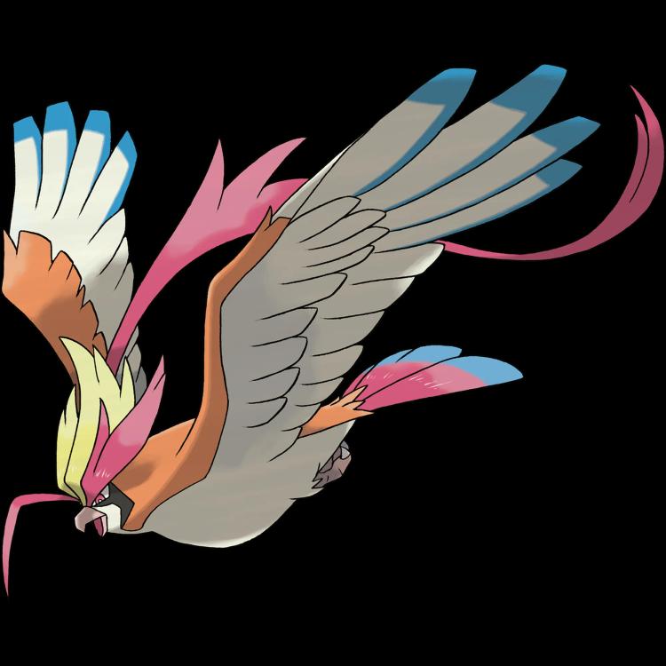 Pidgeot Mega(pidgeot) official artwork