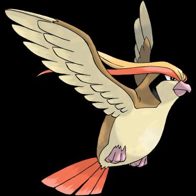 Pidgeot artwork