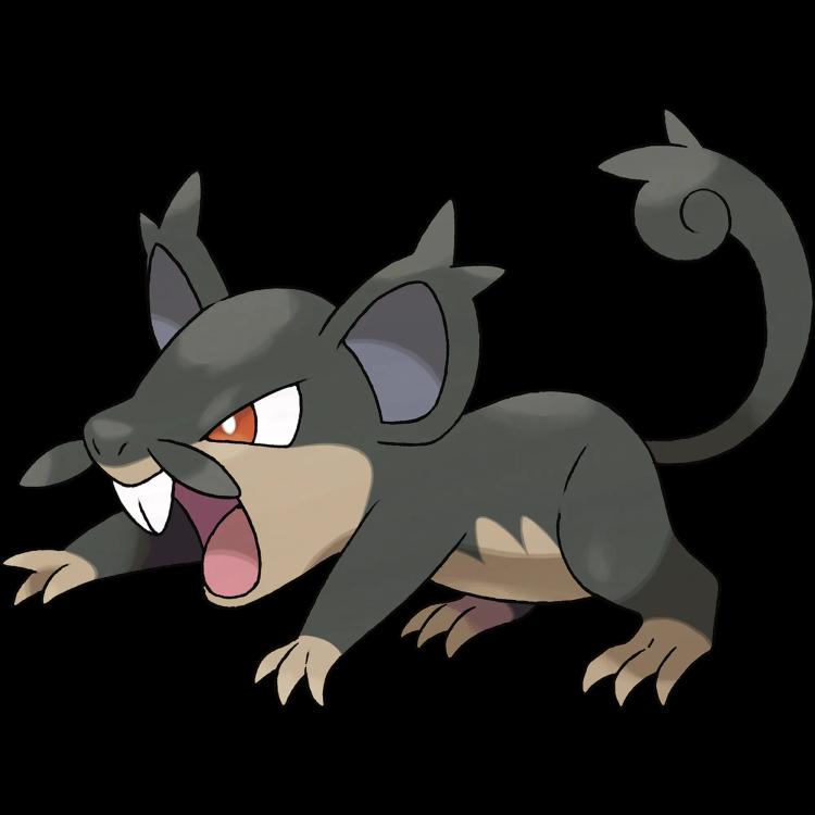 Rattata Alolan(rattata) official artwork