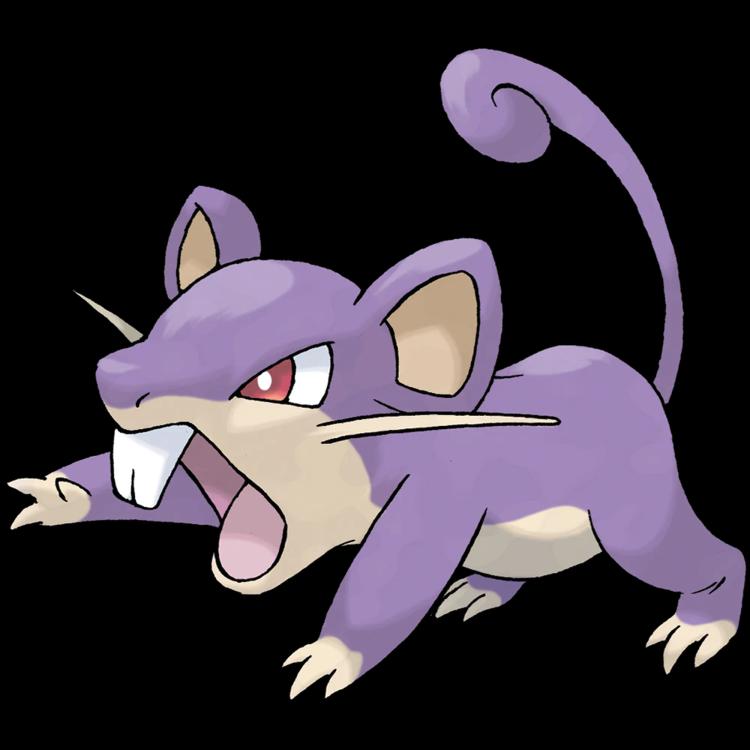 Rattata(rattata) official artwork