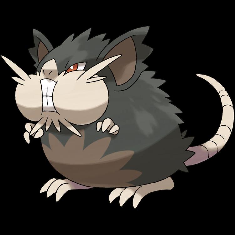 Raticate Alolan(raticate) official artwork