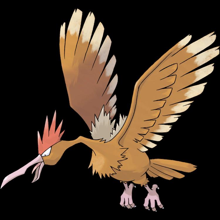 Fearow(fearow) official artwork