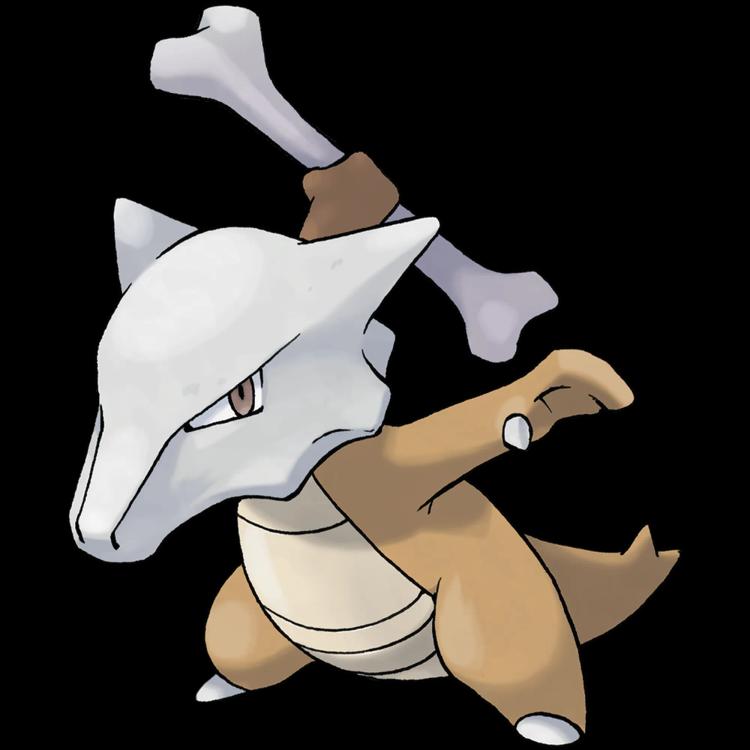 Marowak(marowak) official artwork