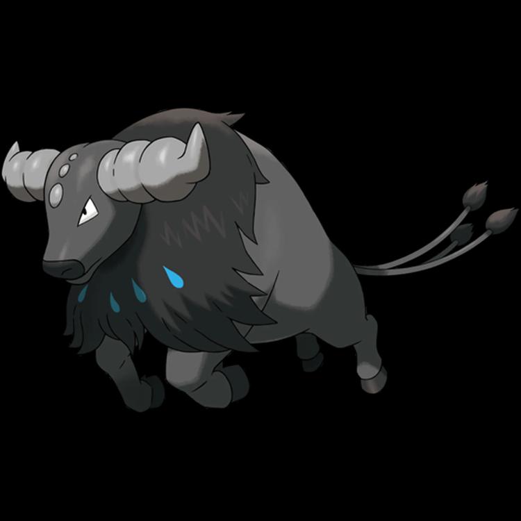 paldean-aqua-breed-tauros-rotomlabs-pok-dex