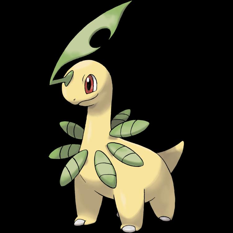 Bayleef(bayleef) official artwork