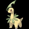 Bayleef