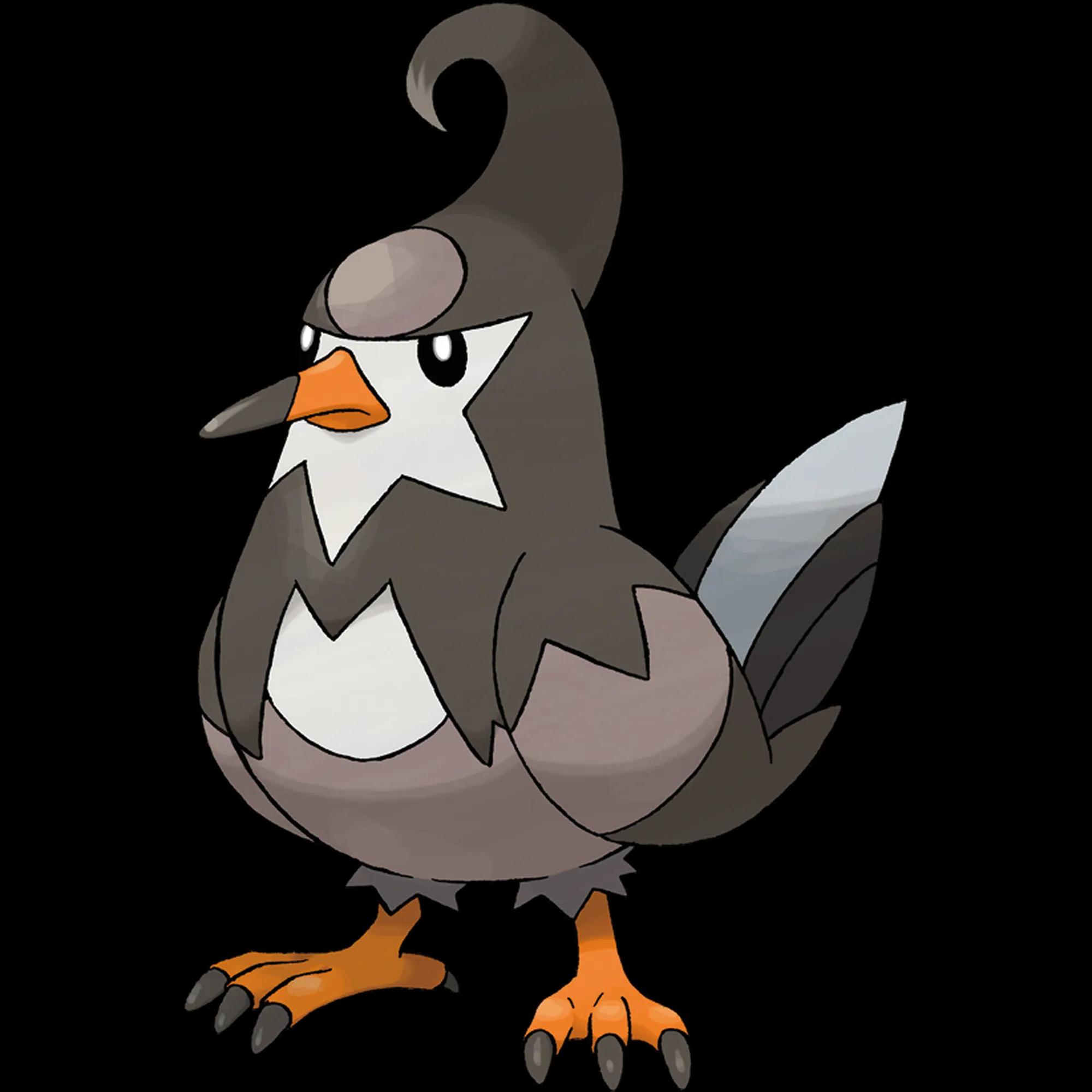 Staravia (staravia) official artwork