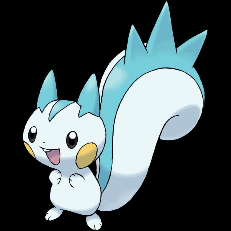 Pachirisu(pachirisu) official artwork