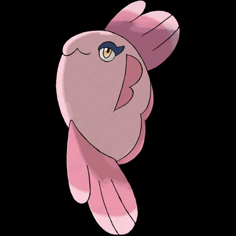 Alomomola(alomomola) official artwork