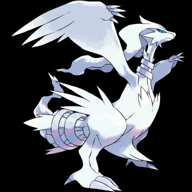 Reshiram artwork