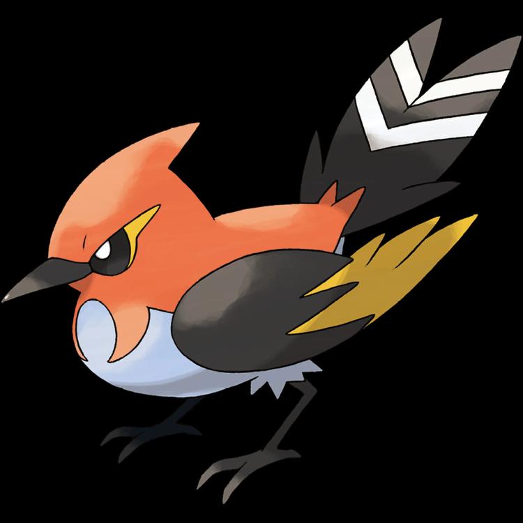 Fletchinder(fletchinder) official artwork