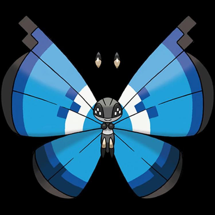 Vivillon Marine(vivillon) official artwork