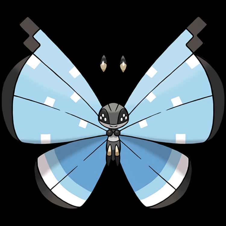 Vivillon Tundra(vivillon) official artwork