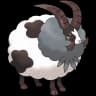 Dubwool