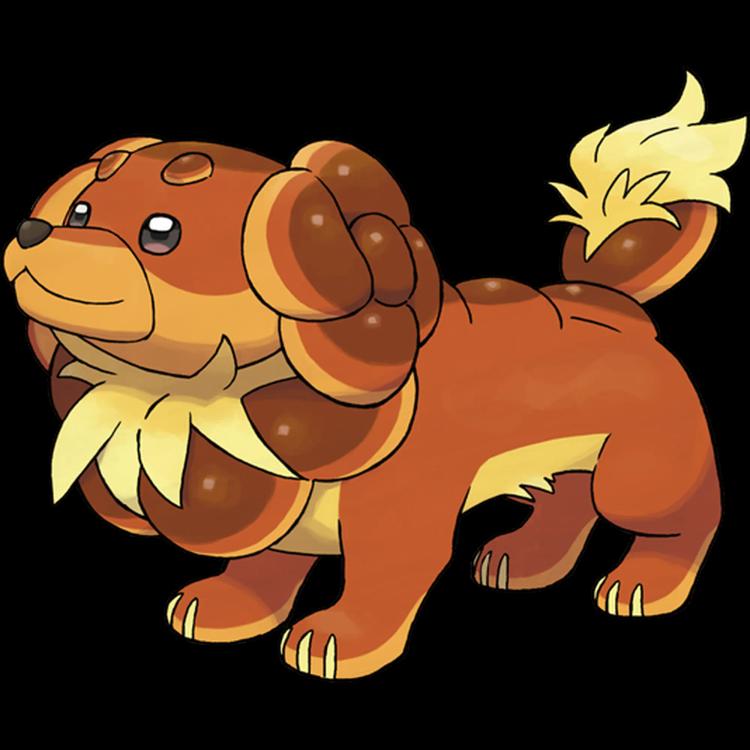 Dachsbun -  Pokédex