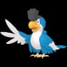 Squawkabilly