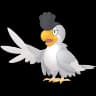 Squawkabilly