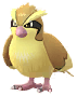 Pidgey artwork