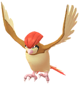 Pidgeotto artwork