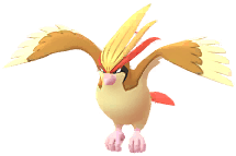 Pidgeot artwork
