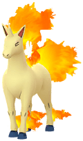 Rapidash artwork