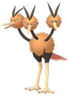 Dodrio artwork