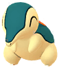 Cyndaquil artwork