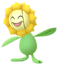 Sunflora artwork