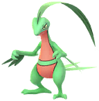 Grovyle artwork