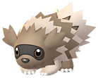 Zigzagoon artwork